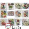12 Random Mixed Flower Kits - Lot 6a (Each pack are NOT exactly alike)