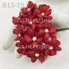 50 RED Small Spring Cottage Paper Flowers