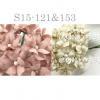50 Mixed JUST Blush - Beige Small Spring Cottage Paper Flowers
