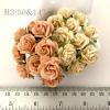100 Size 3/4" or 2cm Mixed JUST Peach - Cream Open Roses