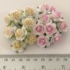 100 Size 3/4" or 2cm Mixed JUST 2 Colors Open Roses