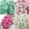 50 Mixed 4 Sweet Colors White / Pink / Soft Pink/ Aqua Small Spring Cottage  