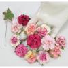 50 Medium May Roses (1-1/2"or3.75cm) Mixed All PinkFlowers