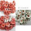 Mixed 2 Coral Tone - White Daisy Flowers (98/99/15)