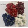 50 Indian Jasmine (1"or2.5cm) Mixed 4 Patriot colors (12/15/104/422)
