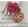 50 Indian Jasmine (1"or 2.5cm) Mixed 2 Pinks (Pre-Order)