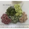 50 Indian Jasmine (1"or2.5cm) Mixed 5 Colors (121/125/161/162/167)