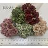 50 Indian Jasmine (1"or2.5cm) Mixed 5 Colors Flower (104/121/125/162/167)