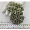 50 Indian Jasmine (1"or2.5cm) Mixed Dusty / Olive Green 