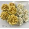 Mixed JUST Yellow and Cream MEDIUM Roses Flowers (M)