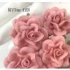 25 Medium 1.5" Solid Puch Pink Sweet Moon Roses 