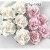 25 Medium 1.5" Mixed JUST White and Soft Pink Roses