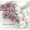 25 Medium 1.5" Mixed JUST White and Lilac Sweet Moon Roses