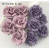 25 Medium 1.5" Mixed JUST Purple and Lilac Sweet Moon Roses