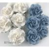 25 Medium 1.5" Mixed Just Baby Blue and White Roses (M)