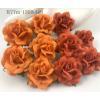 25  Medium 1.5" Mixed JUST 2 Orange - Tangerine Roses (M)