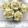 25 Small 1" - Solid Cream Small Sweet Moon Roses 