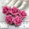 25 Small 1" Solid Pink Sweet Moon Roses 