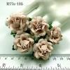 25  Small 1" NUDE Pink Sweet Moon Roses 
