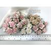 50 Size 1" or 2.5cm Mixed 5 Pink Roses  (2/15/122/122H/125)