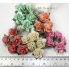 50  Size 1" or 2.5 cm Mixed 5 Open Roses (3/98/123/147450)