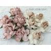  Mixed JUST Blush Pink and Nude Center Roses Crafts