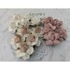 25 Large  2" or 5 cm - Mixed 3 Colors Tea Roses (15+122+125/C)