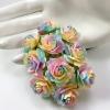 25 Indian Jasmine (1"or2.5cm) Special Dyed Unicorn Color  (Pre - order)  