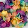 50 Small 1" Special Dyed Candy May Roses