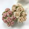 50 Mixed JUST Blush and Beige Carnation Flowers 