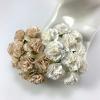 50 Mixed JUST White and Beige Carnation Flowers 