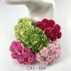 50 Mixed Green and Pink Carnation (2/3/4/158/161)