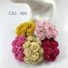 50 Mixed Yellow and Pink Carnation (2/3/4/147/401)