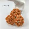 50 Size 1" Solid Peach Carnation 