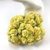 50 Solid Soft Yellow Carnation 