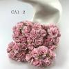 50 Solid Soft Pink Carnation Flowers