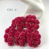 50 Solid Hot Pink Carnation Flowers