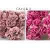 Mixed JSUT Soft Pink and Pink Carnation
