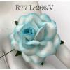 25 Large 2"  White with Turquoise Blue EDGE Roses