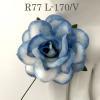 25 Large 2" White - Baby Blue Edge Roses