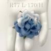 25 Large 2" Half White - Baby Blue Roses