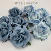 25 Large 2" Mixed JUST Solid and Edge Baby Blue Roses