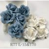 25 Large 2" Mixed JUST White and Baby Blue Roses