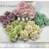 25 Mixed 5 Alice Pastel Roses (2/147/161/188/450)
