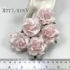25 Large 2" White - Soft Pink Edge Sweet Moon Roses
