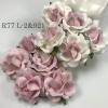 25 Large 2" JUST 2 Pinks Sweet Moon Roses