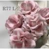 25 Large 2 Solid Soft Pink Sweet Moon Roses