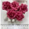 25 Large 2" Solid Hot Pink Sweet Moon Roses