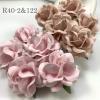 25 Large 2" Mixed JUST 2 Pinks Sweet Moon Roses 