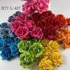 25 Large 2" Mixed Solid Rainbow Roses (New)